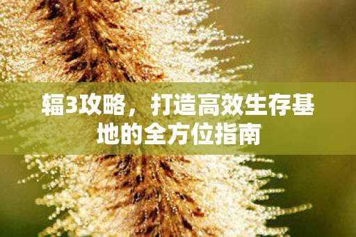 辐3攻略,打造高效生存基地的全方位指南 辐3攻略,打造高效生存基地的全方位指南
