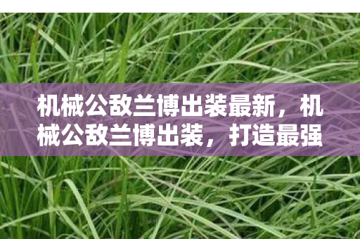 机械公敌兰博出装最新，机械公敌兰博出装，打造最强战斗机器的装备指南
