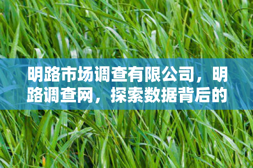 明路市场调查有限公司，明路调查网，探索数据背后的真相