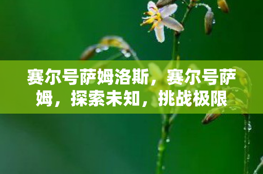 赛尔号萨姆洛斯，赛尔号萨姆，探索未知，挑战极限