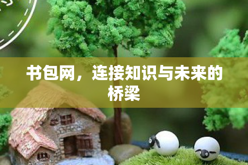 书包网，连接知识与未来的桥梁