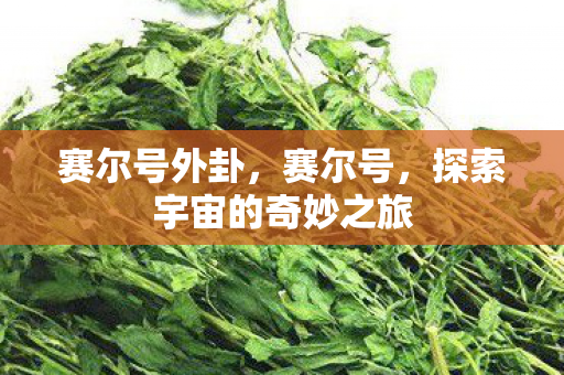 赛尔号外卦,赛尔号,探索宇宙的奇妙之旅 赛尔号外卦,赛尔号,探索宇宙的奇妙之旅
