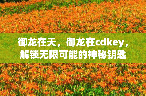御龙在天，御龙在cdkey，解锁无限可能的神秘钥匙