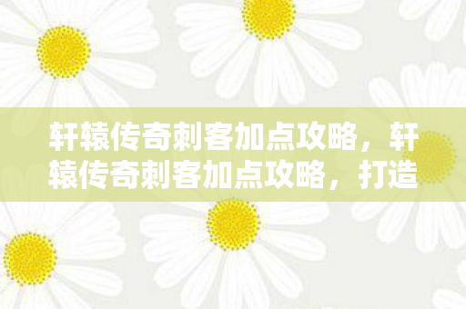 轩辕传奇刺客加点攻略，轩辕传奇刺客加点攻略，打造顶级刺客的加点指南