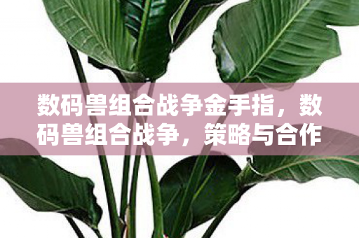 数码兽组合战争金手指,数码兽组合战争,策略与合作的终极挑战 数码兽组合战争金手指,数码兽组合战争,策略与合作的终极挑战