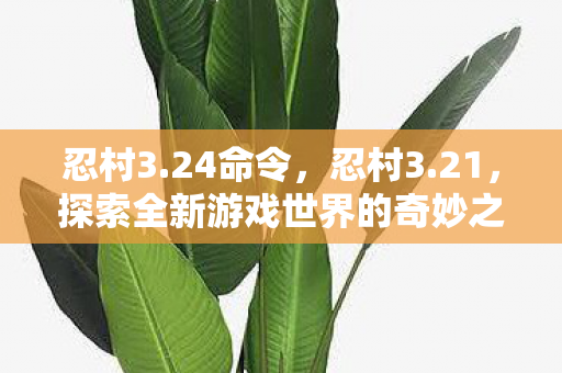 忍村3.24命令,忍村3.21,探索全新游戏世界的奇妙之旅 忍村3.24命令,忍村3.21,探索全新游戏世界的奇妙之旅