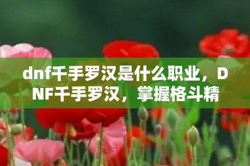 dnf千手罗汉是什么职业，DNF千手罗汉，掌握格斗精髓的勇士