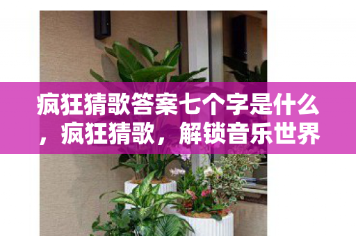 疯狂猜歌答案七个字是什么,疯狂猜歌,解锁音乐世界的奇妙之旅 疯狂猜歌答案七个字是什么,疯狂猜歌,解锁音乐世界的奇妙之旅
