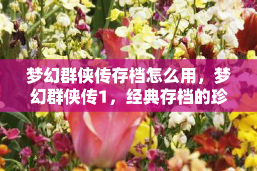 梦幻群侠传存档怎么用，梦幻群侠传1，经典存档的珍贵回忆
