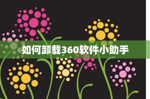 如何卸载360软件小助手 如何卸载360软件小助手