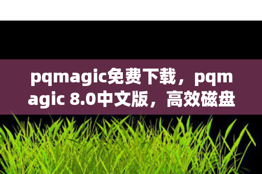 pqmagic免费下载,pqmagic 8.0中文版,高效磁盘管理的得力助手 pqmagic免费下载,pqmagic 8.0中文版,高效磁盘管理的得力助手