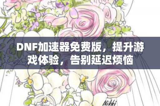 DNF加速器免费版，提升游戏体验，告别延迟烦恼