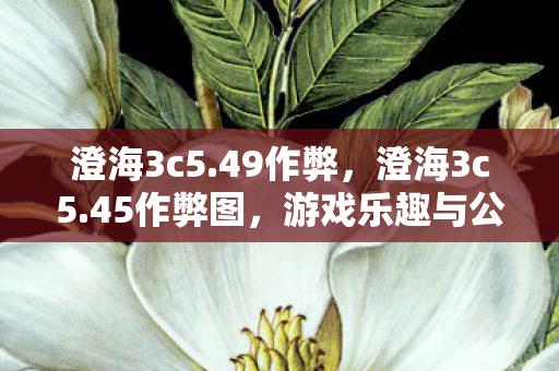 澄海3c5.49作弊，澄海3c5.45作弊图，游戏乐趣与公平竞争之间的灰色地带