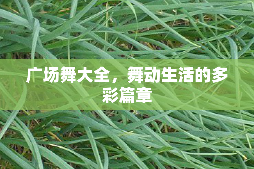 广场舞大全,舞动生活的多彩篇章 广场舞大全,舞动生活的多彩篇章