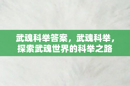 武魂科举答案,武魂科举,探索武魂世界的科举之路 武魂科举答案,武魂科举,探索武魂世界的科举之路