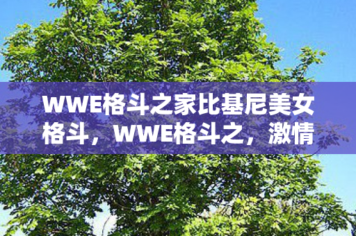 WWE格斗之家比基尼美女格斗,WWE格斗之,激情与荣耀的碰撞 WWE格斗之家比基尼美女格斗,WWE格斗之,激情与荣耀的碰撞