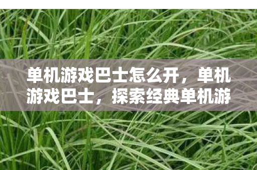 单机游戏巴士怎么开,单机游戏巴士,探索经典单机游戏的魅力 单机游戏巴士怎么开,单机游戏巴士,探索经典单机游戏的魅力