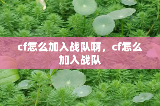 cf怎么加入战队啊,cf怎么加入战队 cf怎么加入战队啊,cf怎么加入战队