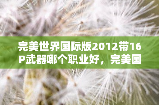 完美世界国际版2012带16P武器哪个职业好,完美国际,2012年的经典再现 完美世界国际版2012带16P武器哪个职业好,完美国际,2012年的经典再现