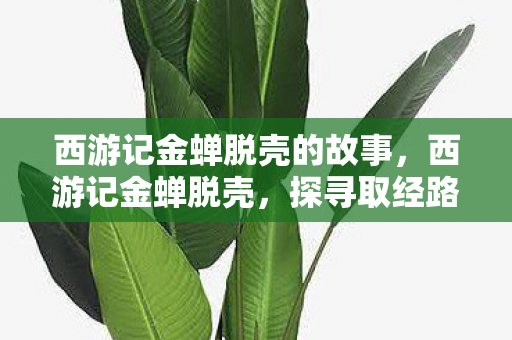 西游记金蝉脱壳的故事，西游记金蝉脱壳，探寻取经路上的智慧与成长