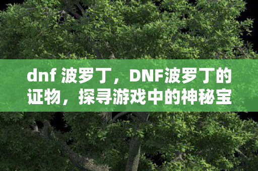 dnf 波罗丁,DNF波罗丁的证物,探寻游戏中的神秘宝藏 dnf 波罗丁,DNF波罗丁的证物,探寻游戏中的神秘宝藏
