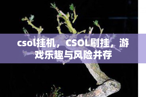 csol挂机，CSOL刷挂，游戏乐趣与风险并存