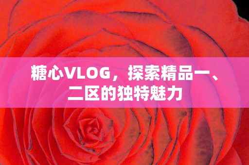 糖心VLOG,探索精品一、二区的独特魅力 糖心VLOG,探索精品一、二区的独特魅力