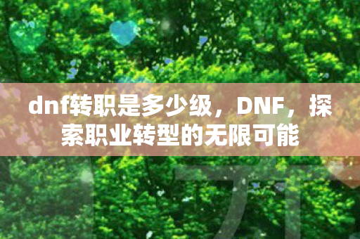 dnf转职是多少级,DNF,探索职业转型的无限可能 dnf转职是多少级,DNF,探索职业转型的无限可能
