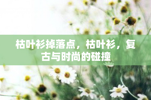 枯叶衫掉落点,枯叶衫,复古与时尚的碰撞 枯叶衫掉落点,枯叶衫,复古与时尚的碰撞