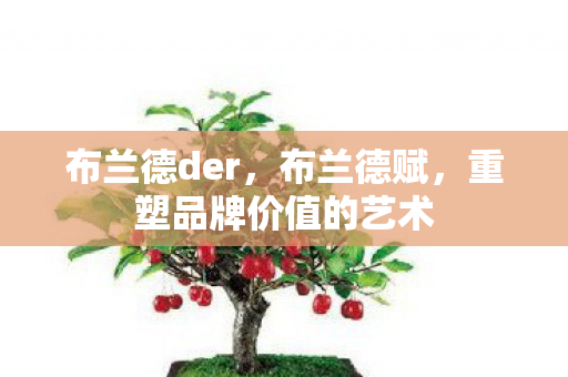 布兰德der,布兰德赋,重塑品牌价值的艺术 布兰德der,布兰德赋,重塑品牌价值的艺术