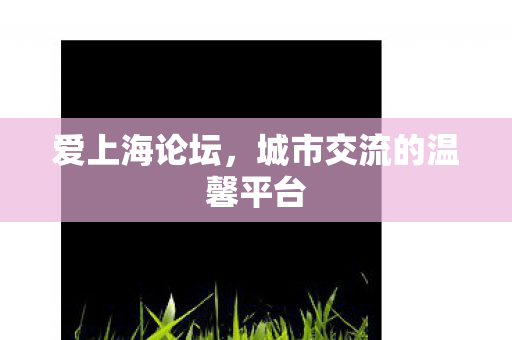 爱上海论坛，城市交流的温馨平台