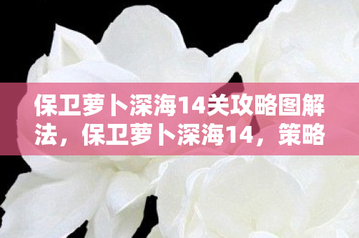 保卫萝卜深海14关攻略图解法,保卫萝卜深海14,策略塔防新挑战 保卫萝卜深海14关攻略图解法,保卫萝卜深海14,策略塔防新挑战