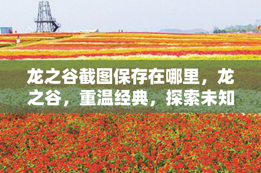 龙之谷截图保存在哪里,龙之谷,重温经典,探索未知 龙之谷截图保存在哪里,龙之谷,重温经典,探索未知