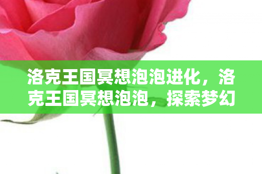 洛克王国冥想泡泡进化,洛克王国冥想泡泡,探索梦幻王国的治愈之旅 洛克王国冥想泡泡进化,洛克王国冥想泡泡,探索梦幻王国的治愈之旅