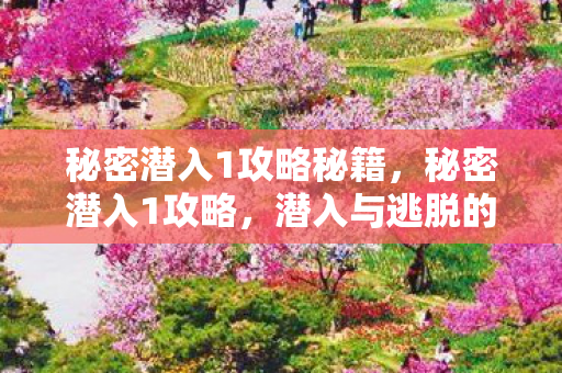 秘密潜入1攻略秘籍,秘密潜入1攻略,潜入与逃脱的艺术 秘密潜入1攻略秘籍,秘密潜入1攻略,潜入与逃脱的艺术