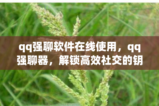 qq强聊软件在线使用,qq强聊器,解锁高效社交的钥匙 qq强聊软件在线使用,qq强聊器,解锁高效社交的钥匙