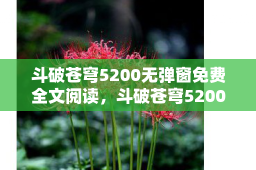 斗破苍穹5200无弹窗免费全文阅读,斗破苍穹5200,探索虚拟世界的无限可能 斗破苍穹5200无弹窗免费全文阅读,斗破苍穹5200,探索虚拟世界的无限可能