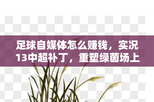 足球自媒体怎么赚钱,实况13中超补丁,重塑绿茵场上的辉煌 足球自媒体怎么赚钱,实况13中超补丁,重塑绿茵场上的辉煌