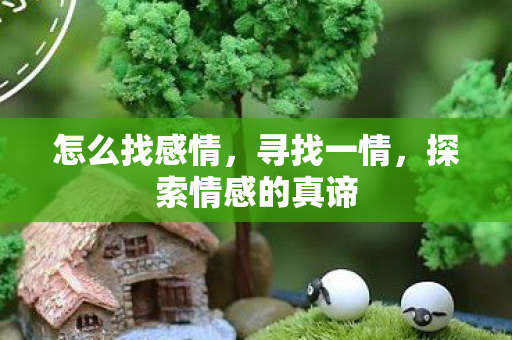 怎么找感情,寻找一情,探索情感的真谛 怎么找感情,寻找一情,探索情感的真谛