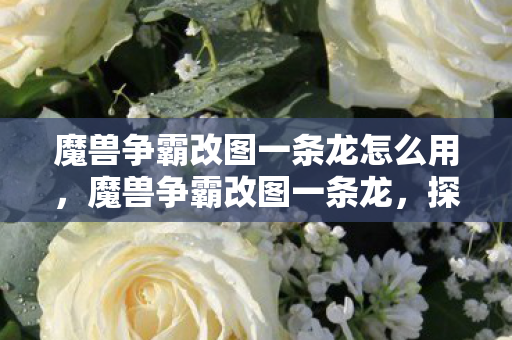 魔兽争霸改图一条龙怎么用，魔兽争霸改图一条龙，探索创意与技术的无限可能
