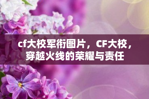 cf大校军衔图片，CF大校，穿越火线的荣耀与责任