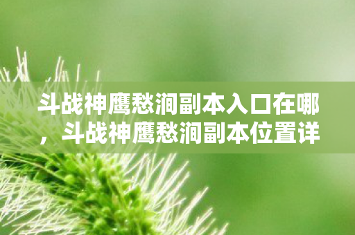 斗战神鹰愁涧副本入口在哪,斗战神鹰愁涧副本位置详解 斗战神鹰愁涧副本入口在哪,斗战神鹰愁涧副本位置详解