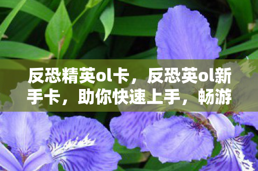 反恐精英ol卡，反恐英ol新手卡，助你快速上手，畅游游戏世界