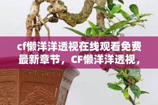 cf懒洋洋透视在线观看免费最新章节，CF懒洋洋透视，透视背后的秘密与游戏公平性探讨