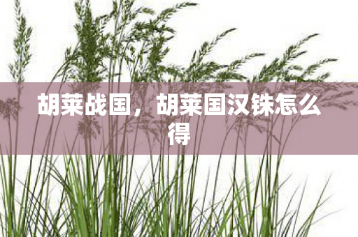 胡莱战国,胡莱国汉铢怎么得 胡莱战国,胡莱国汉铢怎么得