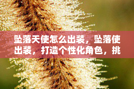 坠落天使怎么出装,坠落使出装,打造个性化角色,挑战极限战力 坠落天使怎么出装,坠落使出装,打造个性化角色,挑战极限战力