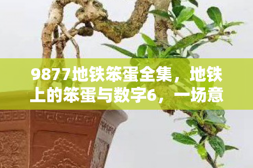 9877地铁笨蛋全集,地铁上的笨蛋与数字6,一场意外的邂逅 9877地铁笨蛋全集,地铁上的笨蛋与数字6,一场意外的邂逅