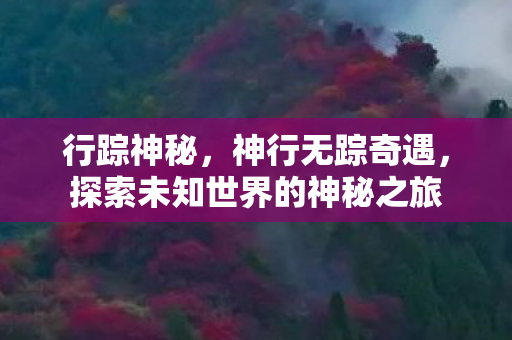 行踪神秘，神行无踪奇遇，探索未知世界的神秘之旅