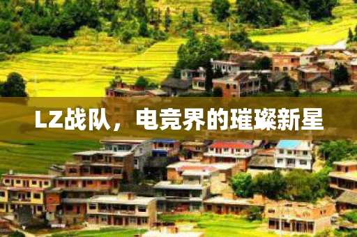 LZ战队，电竞界的璀璨新星