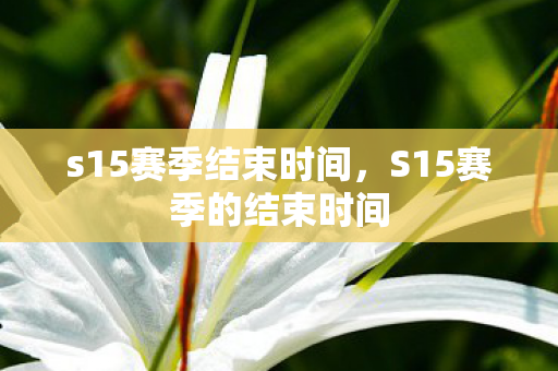 s15赛季结束时间,S15赛季的结束时间 s15赛季结束时间,S15赛季的结束时间